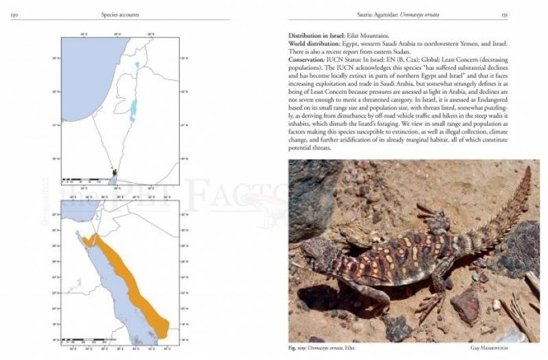 Field Guide to the Amphibians and Reptiles of Israel